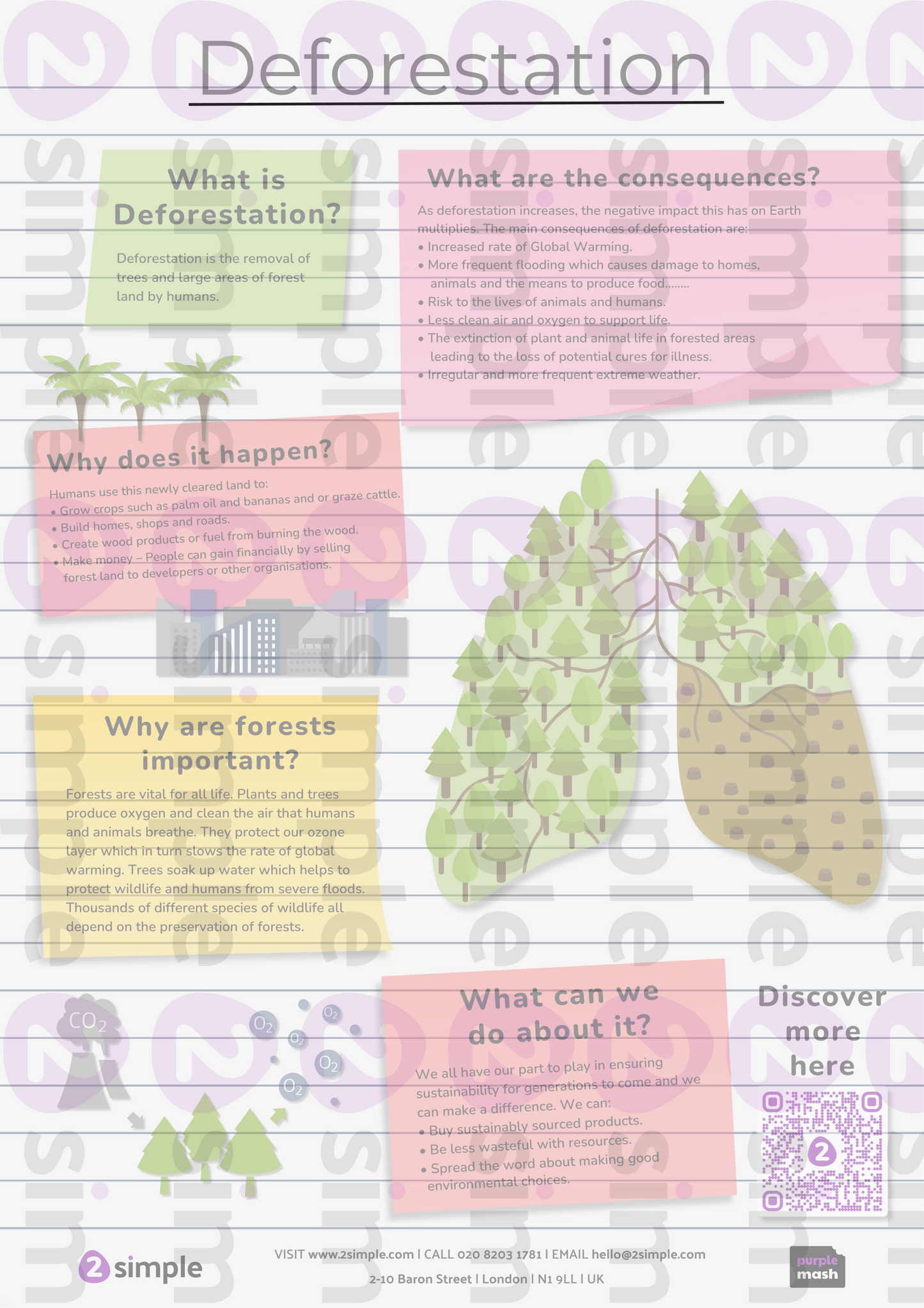 Curriculum Poster Pack (Double sided)