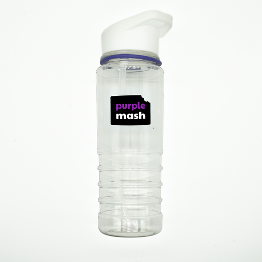 Purple Mash Water Bottle